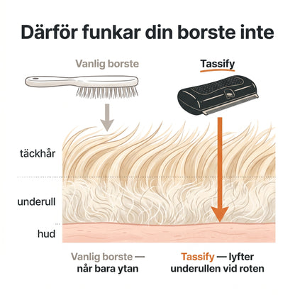Pälsborsten som känns som massage
