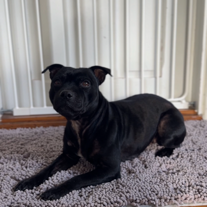 Tassify – Mattan som håller ditt hem rent