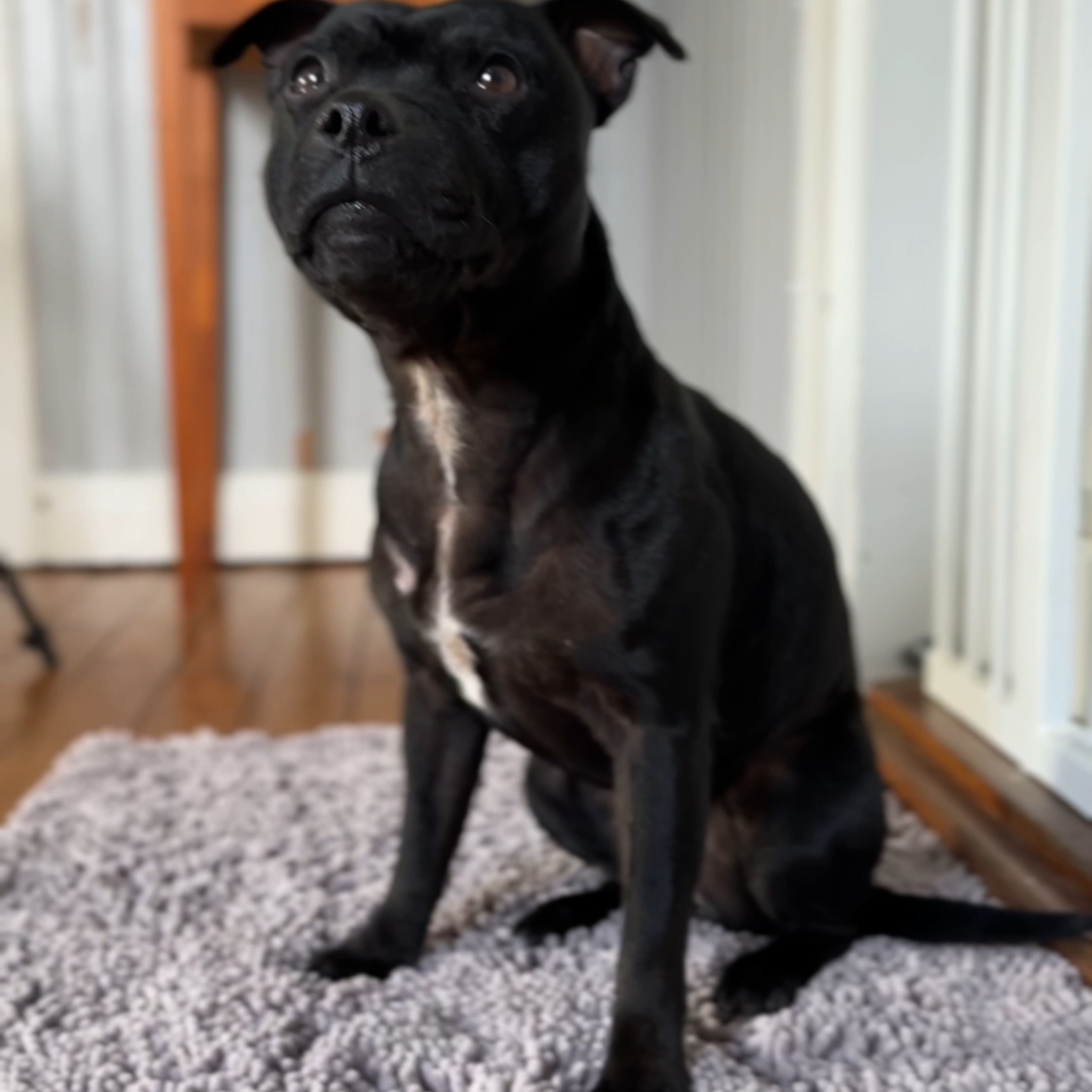 Tassify – Mattan som håller ditt hem rent