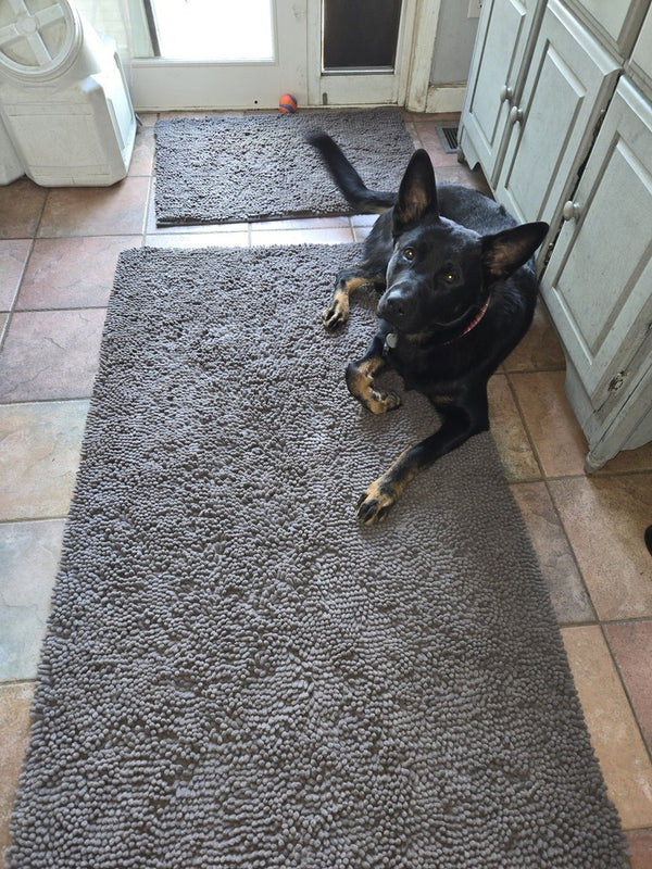 Hund på Nordist™ Mat